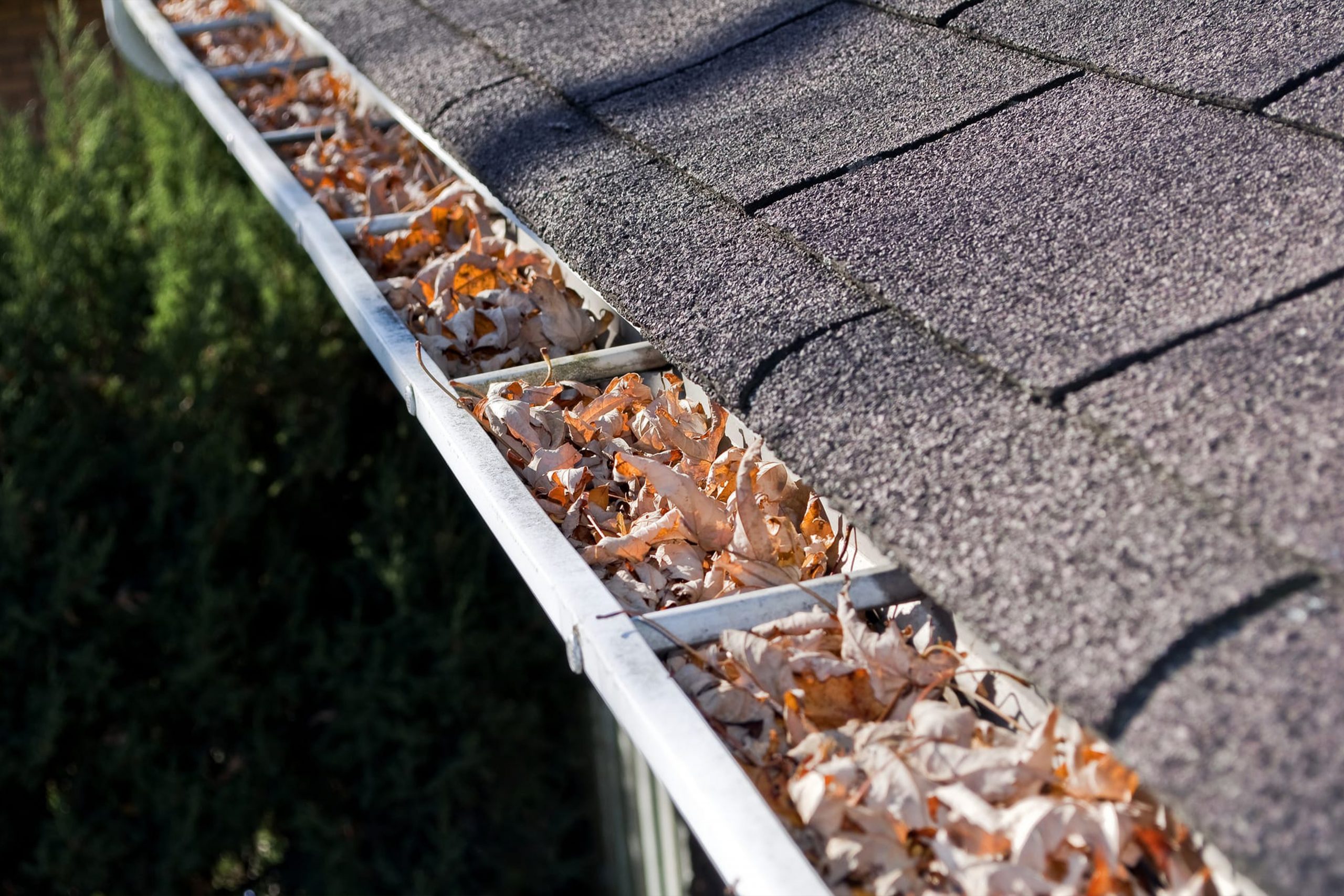 8 Gutter Cleaning Tips for the people of Ontario