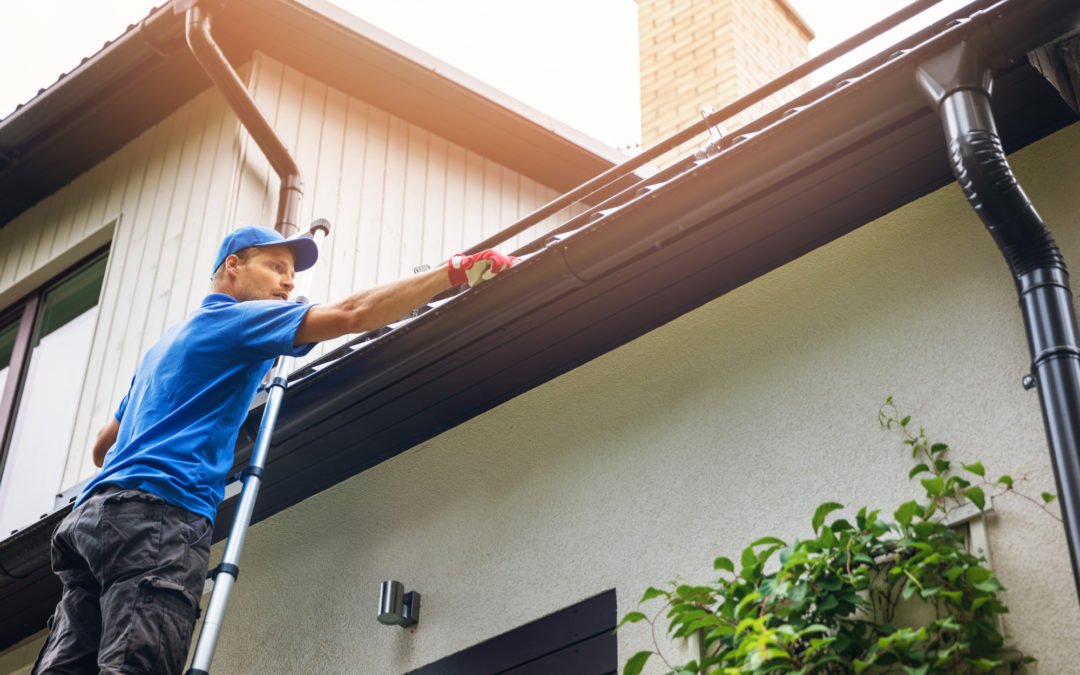 Why invest in window and rooftop gutter maintenance?