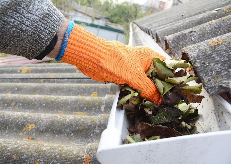 8 Easy Gutter Cleaning Tips for A Peaceful Winter Season